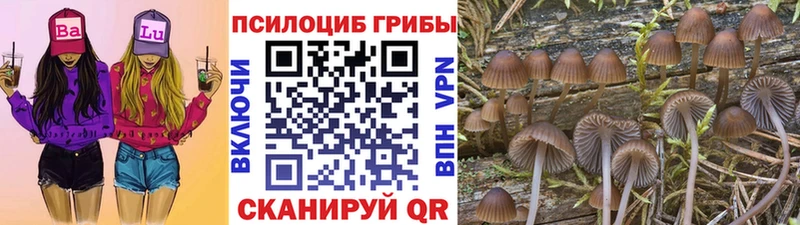 Галлюциногенные грибы мухоморы  закладки  Улан-Удэ 